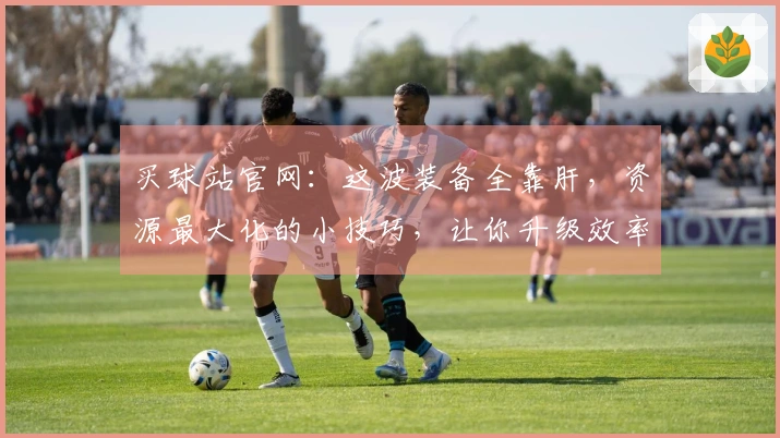 买球站官网：这波装备全靠肝，资源最大化的小技巧，让你升级效率起飞！