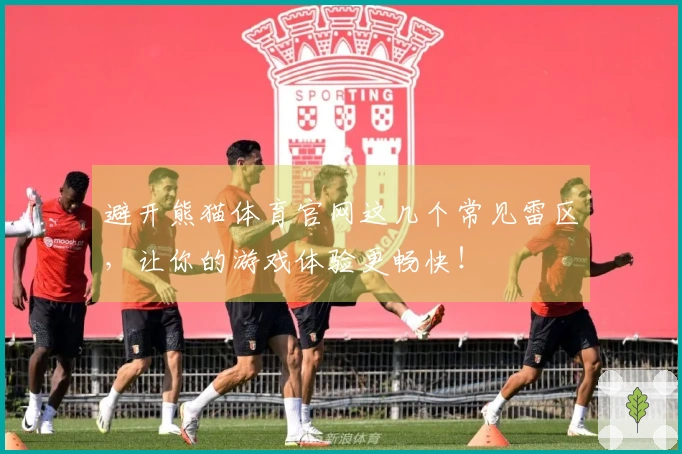 避开熊猫体育官网这几个常见雷区,让你的游戏体验更畅快!